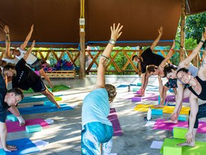7 Day Wellness Experience, Yoga, Meditation, Muay Thai, Weight Loss & Detox in Phetchabun
