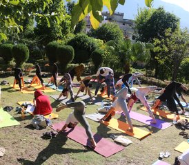 59 días de profesorado de yoga de fusión y terapias holísticas de 500 horas en Rishikesh, Uttarakhand, India - Photo 3