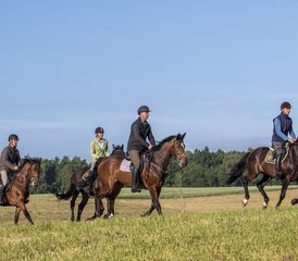 7 jours de saut d’obstacles et vacances équestres à Galiny, Gmina Bartoszyce, Pologne - Photo 5