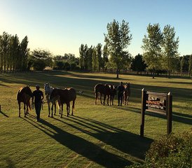2 Day Horse Riding Holiday in Capilla del Señor, Buenos Aires Province - Photo 4