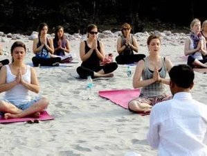 22 Day 200-Hour Multi-Style Yoga Teacher Training in India
