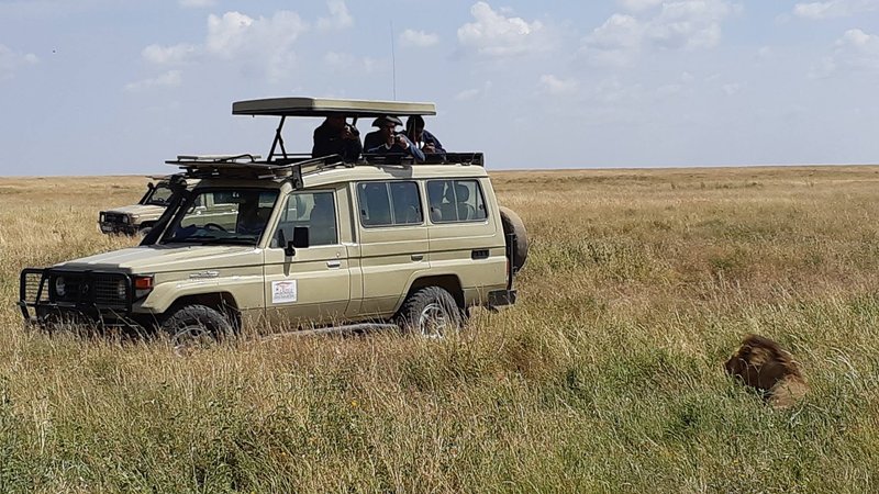 4 Days Jeep Safari Tour in Tanzania