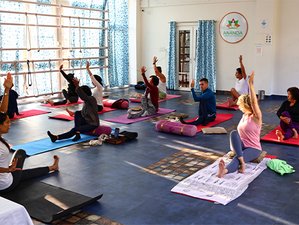 7 Day Yoga, Pranayama, and Meditation Retreat in Rishikesh, India
