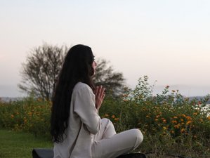 8 Day Journey to Equilibrium Introduction Programme in Aswan, Egypt by MGM Wellness Clinic