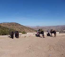 8 jours villages amazighs : vacances équestres au Maroc - Photo 4