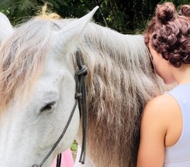 4 jours en petit stage de yoga et chevaux dans la jungle sacrée à Puerto Viejo, Costa Rica caribéen - Photo 2