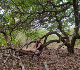 14-Daagse yoga-retraite in het bos en op het strand met Ashtanga, Hatha en yogafilosofie in Goa, India - Photo 5