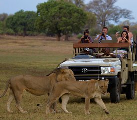 7-Daagse Ontdek Unieke Fotografische Stijlen met de Beste Wildlife Safari in South Luangwa, Zambia - Photo 2