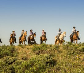 8 Tage Fortgeschrittener Reiturlaub an der Algarve, Portugal - Photo 2