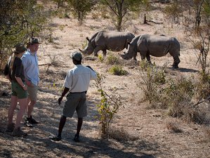 15 Day Ultimate Tour De East Africa Kenya and Tanzania Great Migration and Big Five Safari