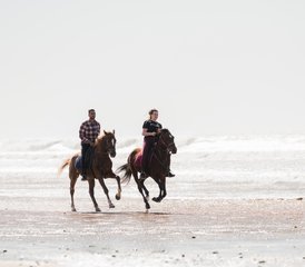 98-Daagse Unieke Kustavontuur en Ruitervakantie in Marokko van Essaouira naar Agadir te Paard - Photo 1