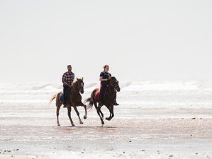 8 Day Unique Coastal Adventure and Riding Holiday in Morocco: From Essaouira to Agadir on Horseback