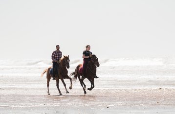 8-Daagse Unieke Kustavontuur en Ruitervakantie in Marokko van Essaouira naar Agadir te Paard