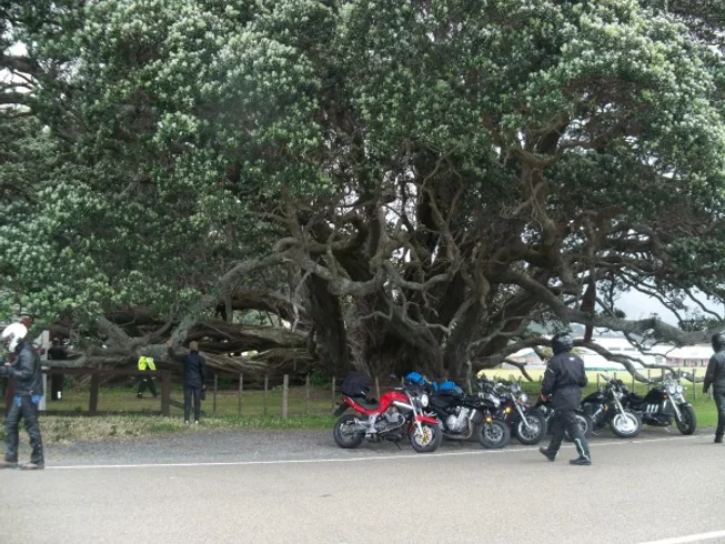 13 Days Kiwi Trails Self-Guided Motorcycle Tour in the North and South Islands of New Zealand photo 5
