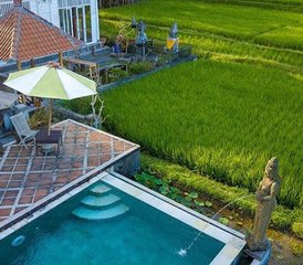 Retraite de yoga de 7 jours pour voyageurs solitaires – Bien-être, culture et aventure à Bali, en Indonésie - Photo 5