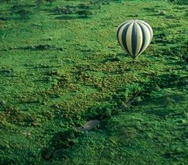 5 Tage Tansania Safari mit Heißluftballon im Tarangire, Serengeti und Ngorongoro Krater, Tansania - Photo 3