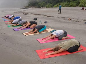 3 jours en retraite de yoga et méditation abordable à Rishikesh, Inde