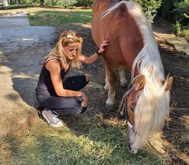 5 Day Horse Riding Holiday in North Evia, Greece with Views over the Aegean Sea and the Mainland - Photo 4