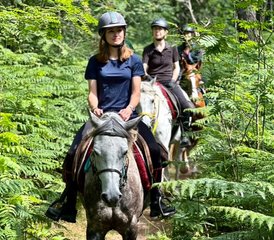 2 Day Horse Riding Holiday in the Heart of the Chantilly Region - Photo 3