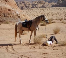 9 Day Petra and Wadi Rum Horse Riding Tour in Jordan - Photo 3