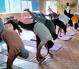 50 Tage 500-Stunden Multi-Stil Yogalehrer Ausbildung in Chamoli, Indien - Photo 5