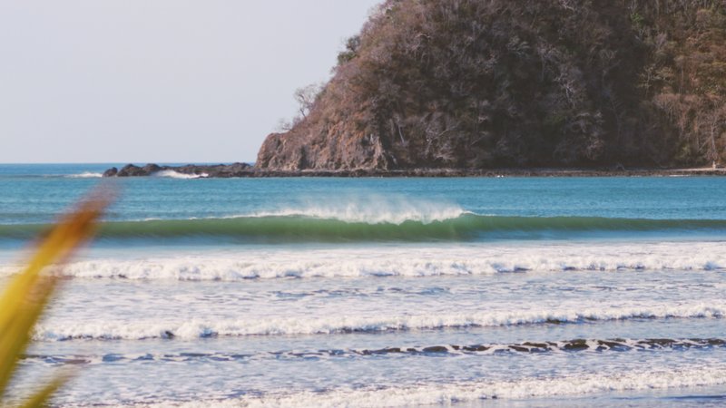 5 Days Beginners Surf Camp Panama