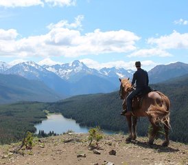 5 Day Ranch-Based Bear Tracking and Conservation Horse Riding Holiday in British Columbia, Canada - Photo 3