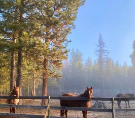 104 Day Family Ranch Getaway in Marion, Montana, USA - Photo 1
