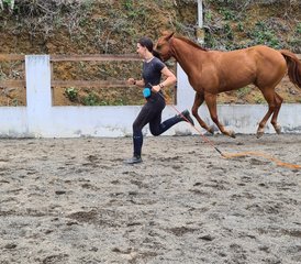 7 jours en stage de connexion au cheval, liberté et yoga à Cartago, Costa Rica - Photo 5