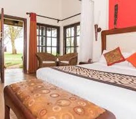 5 días de safari de lujo en Mara, Naivasha y Nakuru, Kenia - Photo 5
