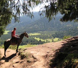 1010 Tage Traditionelles Kirgisistan Und Nomadische Kultur Reitferien - Photo 1