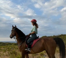 8 jours en stage d’équitation guidée dans l’Istanbul historique et la forêt de Belgrad, Turquie - Photo 2