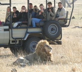3 Tage Bush Camp Safari im Manyeleti & Kruger Nationalpark, Südafrika - Photo 2