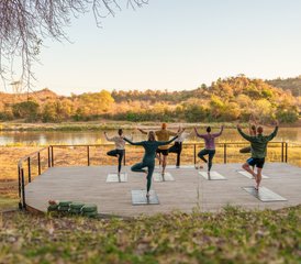38 días de retiro de safari y yoga en Sudáfrica para recuperar tu esencia salvaje y rediseñar tu vida - Photo 1