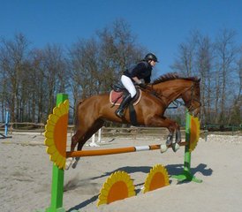 28 Tage Springreiten- oder Dressurtraining mit Ausreiten in Spoleto, Provinz Perugia, Italien - Photo 1