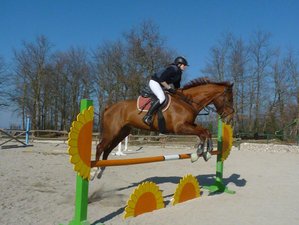 8 Day Show Jumping or Dressage Training with Trail Riding in Spoleto, Province of Perugia, Italy