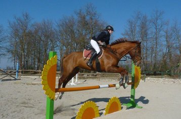 8 Tage Springreiten- oder Dressurtraining mit Ausreiten in Spoleto, Provinz Perugia, Italien