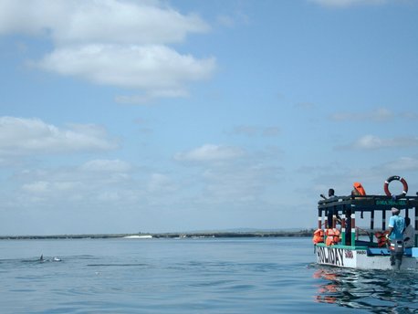 Watamu