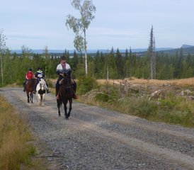 05 Tage Sattel- und Paddel-Reiturlaub in der Schwedischen Lappland, Schweden - Photo 1
