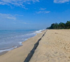 97 jours en retraite de yoga et d’ayurvéda au Kerala, Inde - Photo 1