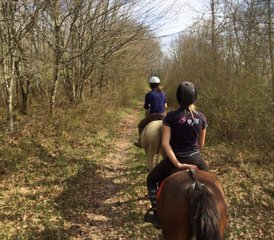 5 Day On the Road to D'Artagnan Horse Riding Tour in France - Photo 2