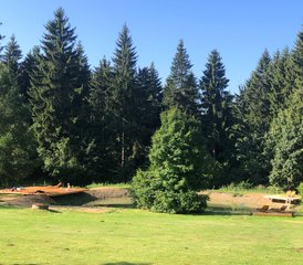 3 Tage Yoga, Natur und DU Retreat im Erzgebirge, Deutschland - Photo 5