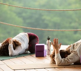 4 Tage Reise zur Pose: Thailändisches Stretching für Yoga-Ausbildung in Tennessee, USA - Photo 5