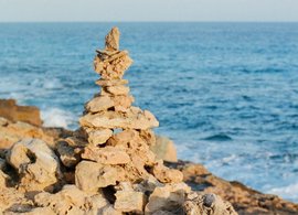 Selva Retreats & Trips