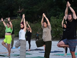 25-Daagse 200-urige Beste Traditionele Multi-Stijl Yoga Docentenopleiding in Rishikesh, India
