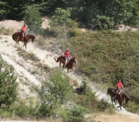 8 Day Working Ranch Week Horse Riding Holiday in Castell'Azzara, Tuscany, Italy - Photo 4