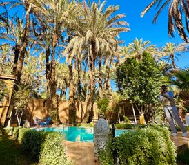 8-Daagse Yoga Retreat in Zagora, Zuid-Marokko - Photo 2