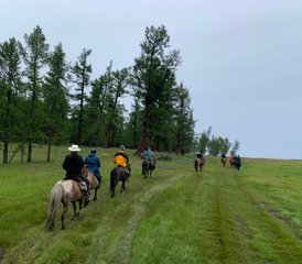 610 Day of Admiring Unspoiled Beauty: A Private Horse Riding and Trekking Adventure in Mongolia - Photo 1