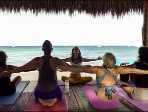 7 Day 100 hours Yoga Teacher Training in Cozumel