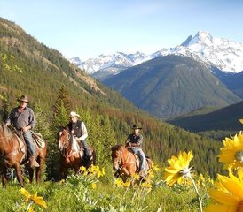 07 días de ruta a caballo basada en un rancho para rastreo de fauna y conservación en Columbia Británica, Canadá - Photo 1